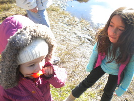 DSCN9472.JPG